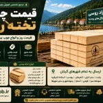 قیمت چوب های روسی | قیمت روز ساسنا، یولکا و نراد
