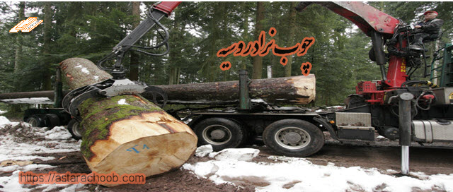 چوب نراد روسیه