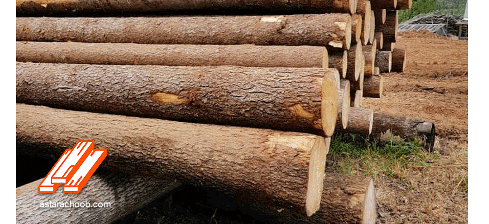 خرید و فروش تخته روسی