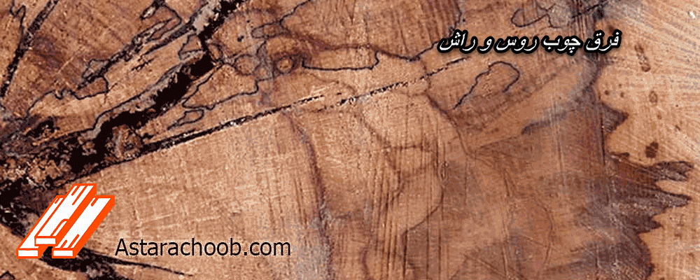 فرق چوب روس و راش